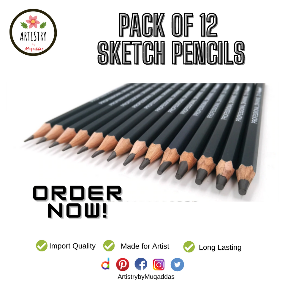 Pack of 12 Professional Sketch Pencils